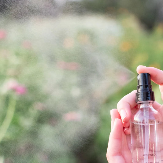 Hyaluronic Plumping Serum with Vitamin B5 + Snow Mushroom